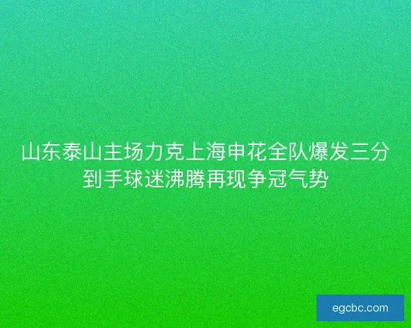山东泰山主场力克上海申花全队爆发三分到手球迷沸腾再现争冠气势
